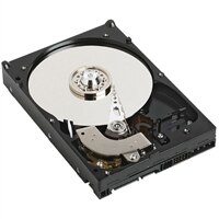 500GB SATA 7.200 omdr./min. 9cm (3.5'') HD kabel ikke sammensatte