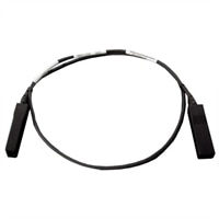 1 meter SFP+ Direct Attach Twinaxial-kabel (sæt)