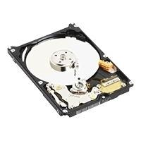 WD Blue WD800BEVE - Harddisk - 80 GB - intern harddisk - 2.5" - ATA-100 - 5400 rpm - buffer: 8 MB