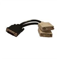 SAPPLY DMS59 to Dual DVI-I (24+5) Female Splitter Cable
