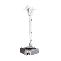 Atdec (Canada) TeleHook Projector Ceiling Mount