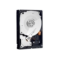 2TB 3.5 Inch 7200RPM SATA RE4 3GBPS 64MB Internal Hard drive
