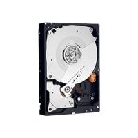 250GB 3.5inch 7200 RPM SATA RE4 64MB Internal Hard Drive