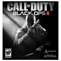 ACTIVISION Call of Duty Black Ops 2 - PC