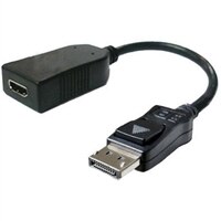 Cable : Display Port to HDMI Adapter (Kit)