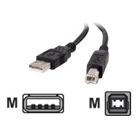 Cables to Go - USB cable - 4 PIN USB Type A (M) - 4 PIN USB Type B (M) - 5 m ( USB / Hi-Speed USB ) - black