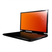 15.6'' Widescreen Gold Privacy Filter (16:9AR)