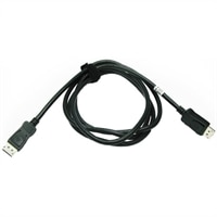 Display Port Cable for Professional Flat Panel Monitors for Dell 4310WX/ 7609WU Projector - 6.56 ft