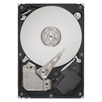 1 TB 7200 RPM Serial ATA Internal Hard Drive for Select Dell Inspiron Desktop/ Precision WorkStation/ Vostro Desktop/ XPS Desktops