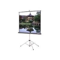 Da-Lite Picture King projection screen with tripod