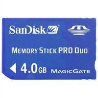 4 GB Memory Stick PRO Duo Flash Memory Card