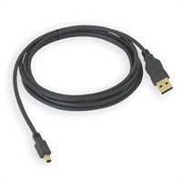 USB 2.0 Type A to Mini-B 4-pin Cable - 6.6 ft