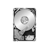 1TB 7200RPM 64MB CACHE SAS CONSTELLATION 2.5