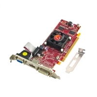 AMD Radeon HD 6450 1 GB PCI Express Graphic Card