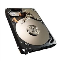 900GB 10000RPM 64MB BUFFER, SAS, 2.5 INC