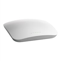 WNDAP360 ProSafe Dual Band Wireless-N Access Point