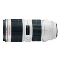 Canon EF 70-200 mm f/2.8L IS II USM Telephoto Zoom Lens
