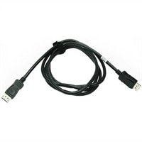 Adaptateur : câble DisplayPort pour support tout-en-un pour les formats ultra-compact (Kit)