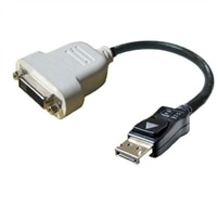 Adattatore : 1 x DisplayPort-DVI-D Adattatore (Kit)