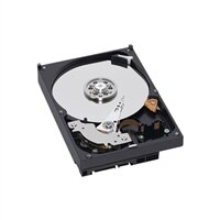 Dell - 250GB 7200RPM 3.5인치 SATA 하드 드라이브