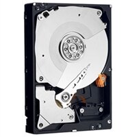 300GB SAS 6Gbps 15k 6cm (2.5'') HD Hot Plug Volledige Geassembleerd