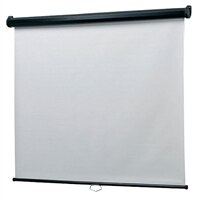 Dell 2000 X 1513mm projectiescherm 4:3 (wand of aan het plafond)
