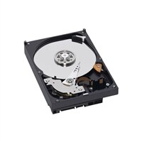 Harde Schijf : 500GB seriële ATA (7200 rpm) Harde Schijf