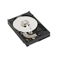 500GB SATA 7200 RPM 9cm (3,5'') HD Hot Plug fullstendig montert