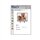 Download - Arcsoft Magic-i Visual Effects 2