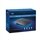 Cisco Consumer  Linksys E900 Wireless-N 300 Router
