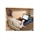 Logitech H800 Wireless Headset