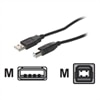 Cables to Go - USB-kabel - 4-PIN USB type A (M) - 4-PIN USB type B (M) - 2 m ( USB / Hi-Speed USB ) - zwart