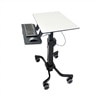 Ergotron TeachWell Mobile Digital Workspace - Wagen voor notebook / toetsenbord / muis - staal - grafietgrijs
