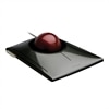Kensington SlimBlade Trackball - Trackball - met bekabeling - USB - grafiet, Ruby Red