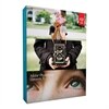 Adobe Photoshop Elements - (versie 11 ) - volledig pakket - 1 gebruiker - DVD - Win - Nederlands