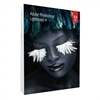 Adobe Photoshop Lightroom - (versie 4 ) - volledig pakket - 1 gebruiker - DVD - Win - Nederlands