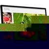 Bildskärmen UltraHD 4K Dell 28 : S2817Q