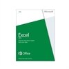 Microsoft Excel 2013 - Licens - 1 PC - Win - svenska - 32/64-bit