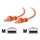 C2G Cat6 550MHz Snagless Patch Cable - Patchkabel - RJ-45 (han) - RJ-45 (han) - 2 m - CAT 6 - støbt, flertrådet, snagless, beskyttelseskappe for stik - orange