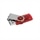8GB DataTraveler 101-GEN 2 Red