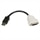 DP2DVI DisplayPort to DVI Video Converter
