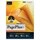 PagePlus X6 - License - 1 license - download - Win