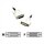 C2G - Cable alargador DVI - enlace doble - DVI-D (M) - DVI-D (H) - 5 m