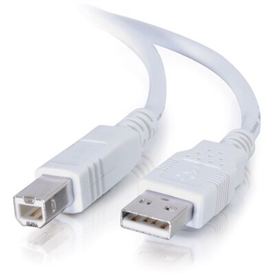 CablesToGo C2G 2m USB Cable - USB A to USB B Cable - CÃ¢ble USB - USB (M) pour USB type B (M) - USB 2.0 - 2 m - blanc