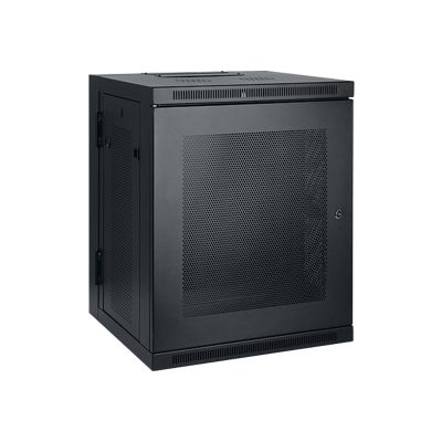Tripp Lite 15U Wall Mount Rack Enclosure Server Cabinet Hinged Wallmount rack - 15U