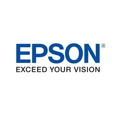 Epson T6941 Photo Ink T694100 - Ink Cartridge