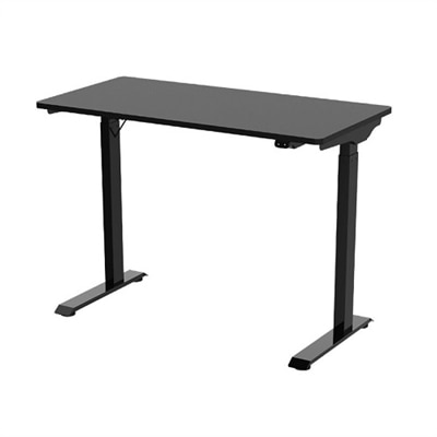 FlexiSpot Vici EC9 - Sit/standing desk - rectangular - black