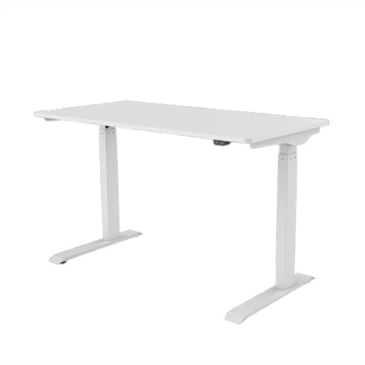 FlexiSpot Vici EC9 - Sit/standing desk - rectangular - white