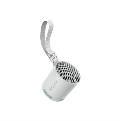 Sony XB100 Portable Bluetooth Speaker System - Gray