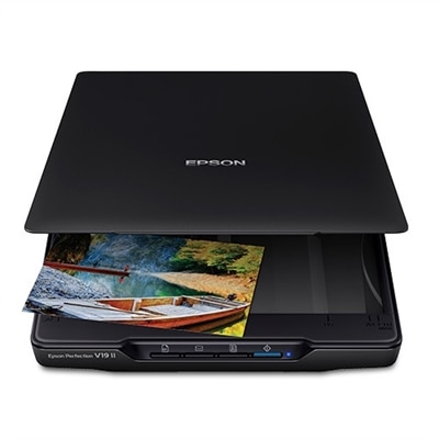 Epson Perfection V19 II Flatbed/Film Scanner - 4800 dpi Optical